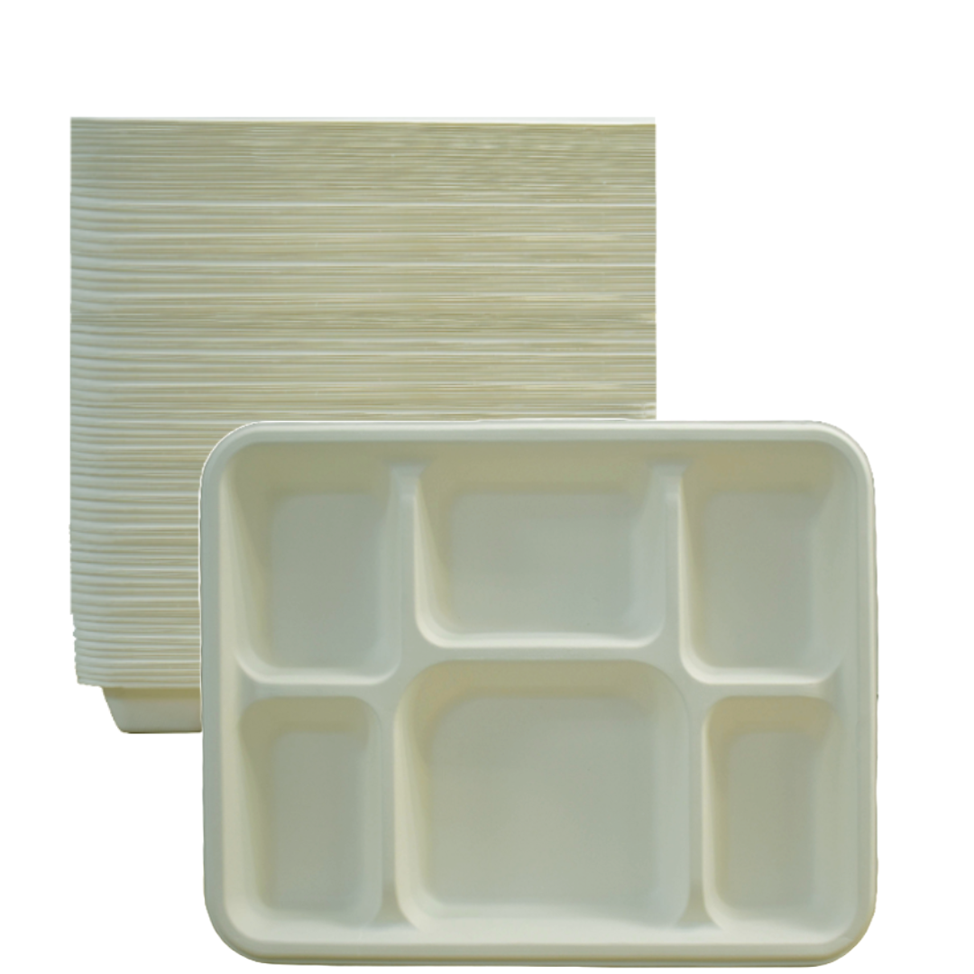 6 Compartment Biodegradable Party Thali Plates